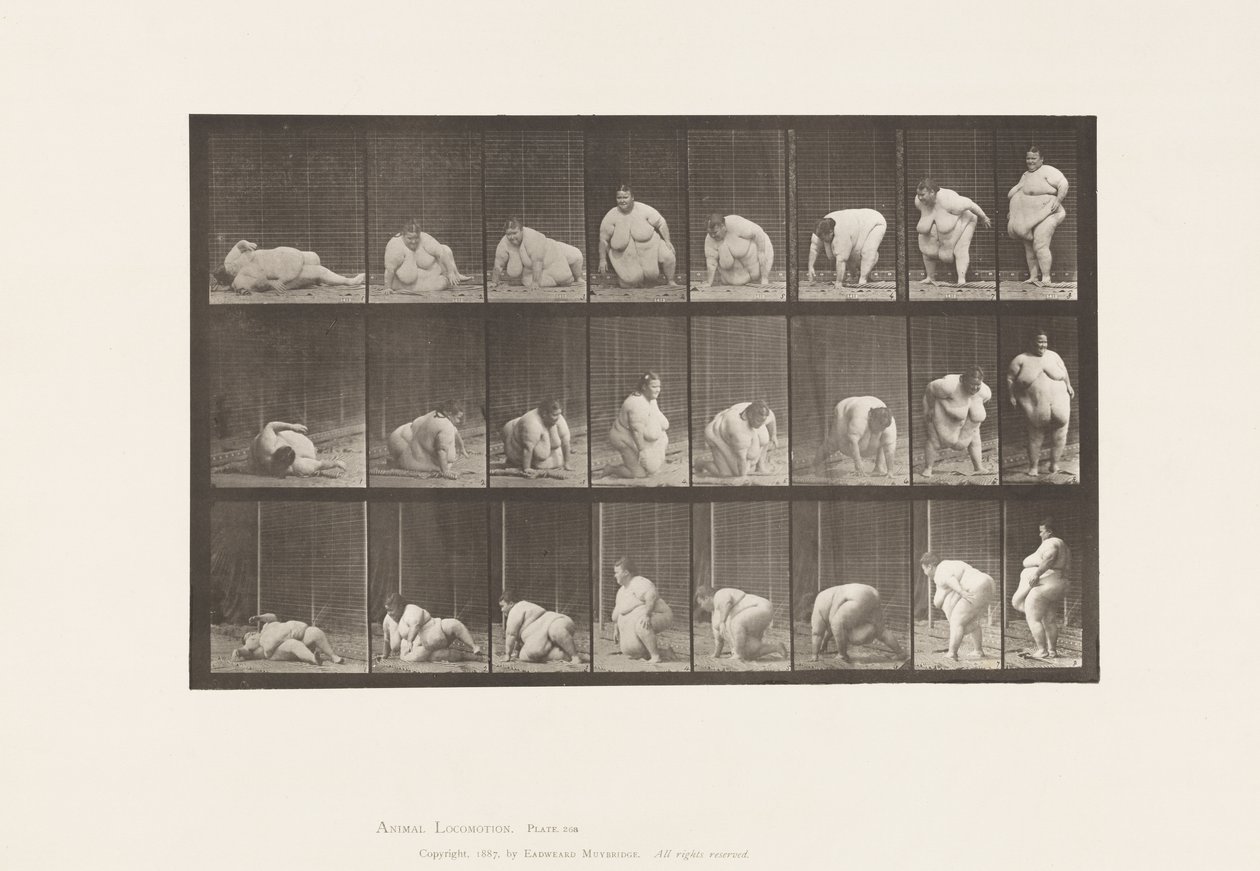 Placa 268.Arising from the Ground, 1885 de Eadweard Muybridge