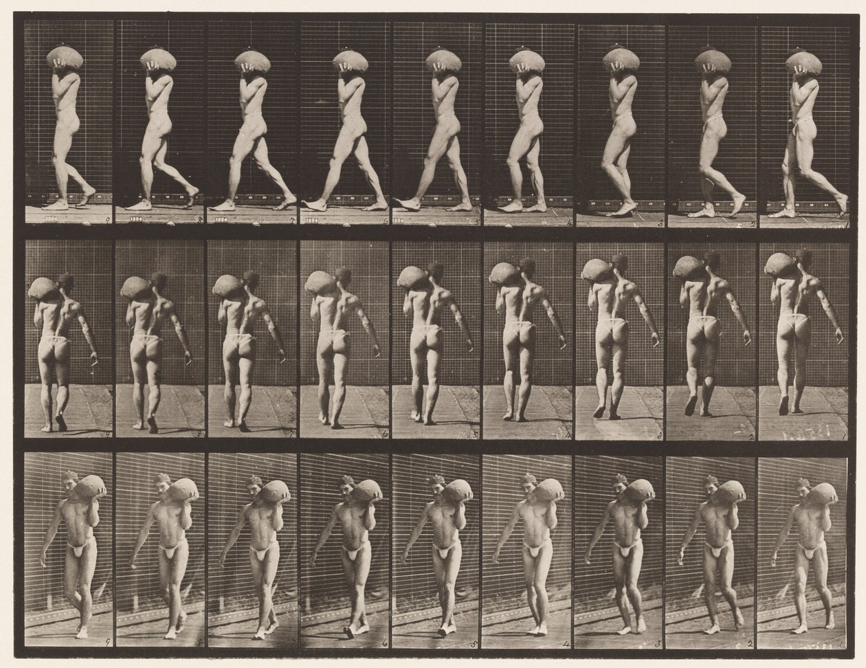 Placa 26. Caminhando, carregando uma pedra de 75 libras no ombro esquerdo de Eadweard Muybridge