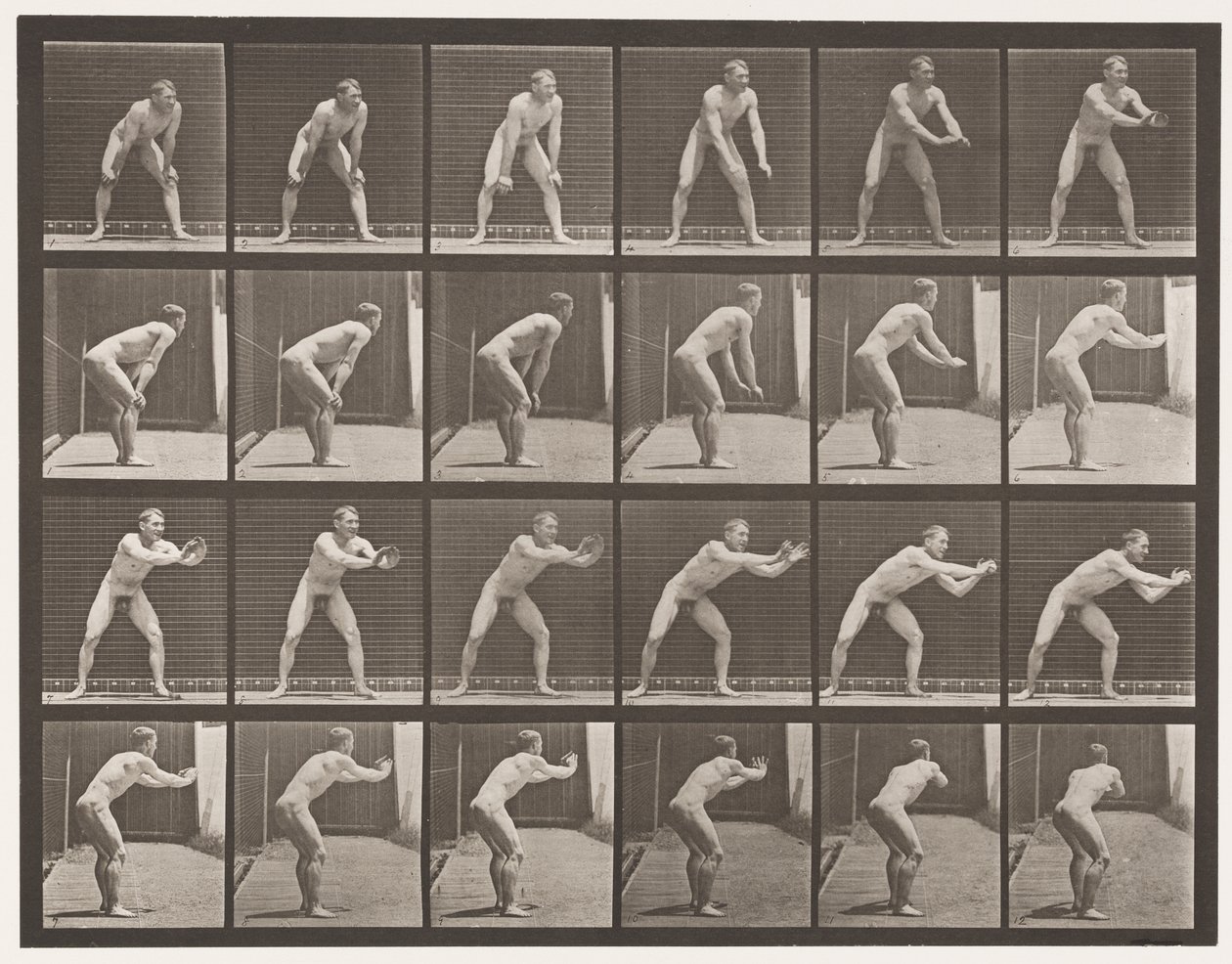 Placa 280. Bola-bola; Captura, 1885 de Eadweard Muybridge