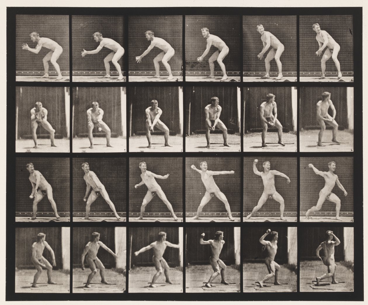 Placa 283. Bola-bola; Captura e lançamento, 1885 de Eadweard Muybridge