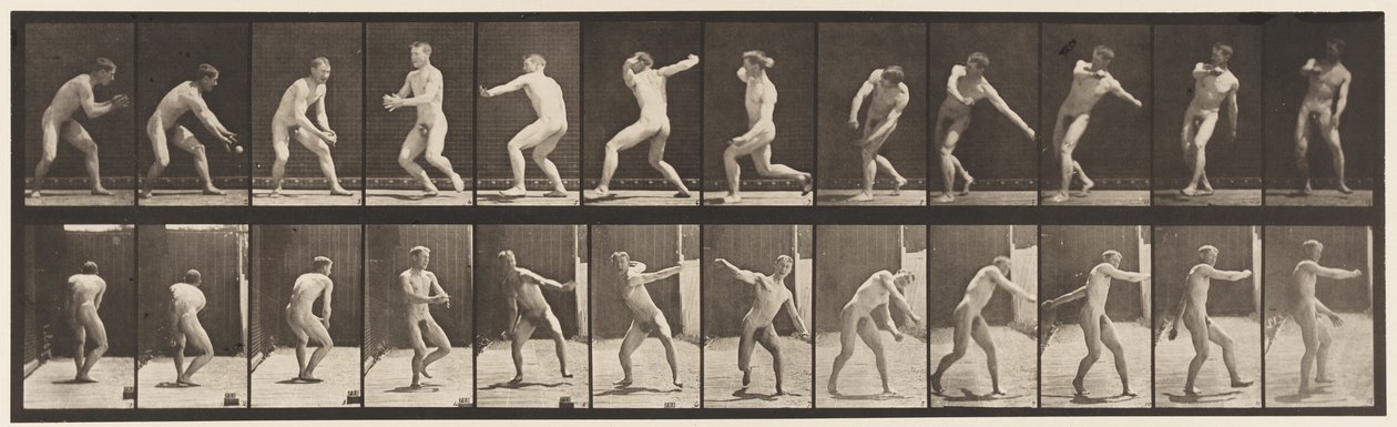Placa 284. Bola-bola; Captura e lançamento, 1885 de Eadweard Muybridge