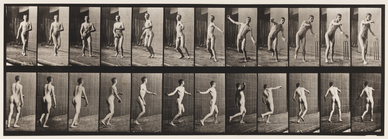 Placa 289.Cricket; Boliche De Braço Redondo, 1885 de Eadweard Muybridge