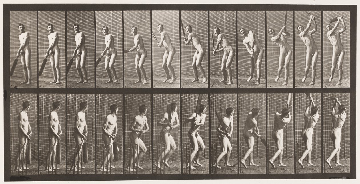 Placa 291.Cricket; Rebatidas; Drive, 1885 de Eadweard Muybridge
