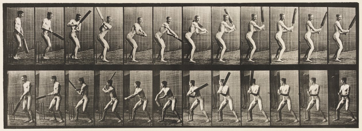 Placa 293.Cricket; Rebatidas; Corte de costas, 1885 de Eadweard Muybridge