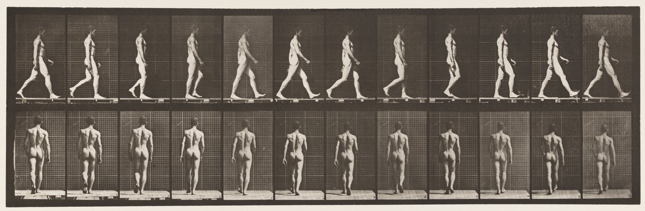 Placa 2. Caminhada, 1872-1885 de Eadweard Muybridge