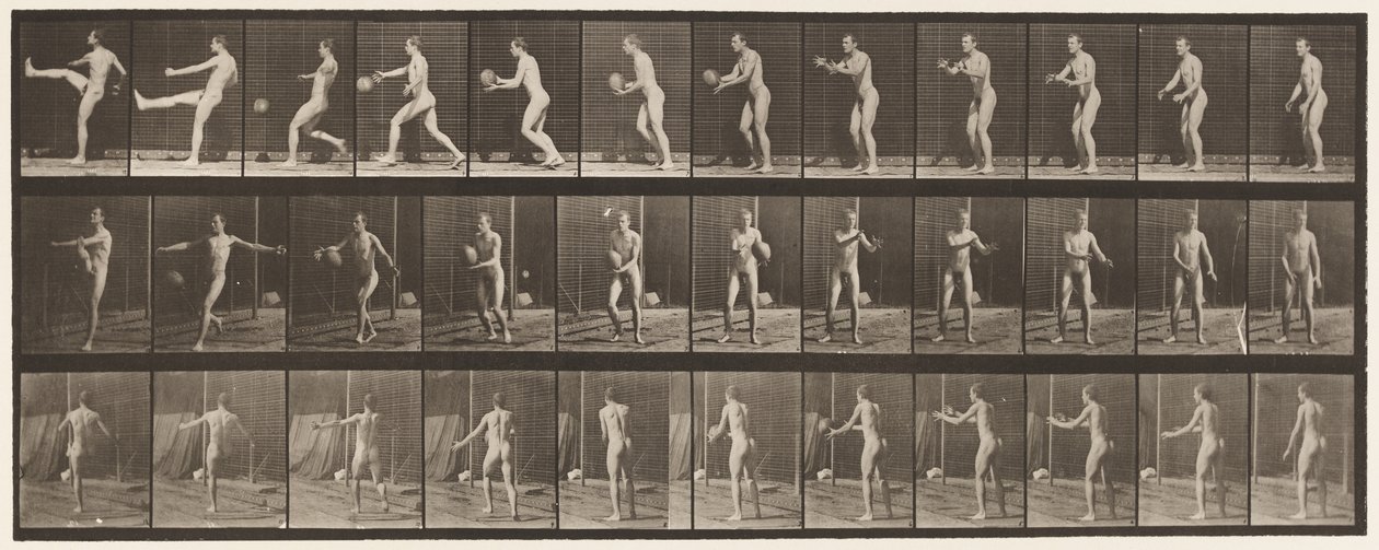 Placa 301. Bola de futebol; Punt, 1885 de Eadweard Muybridge