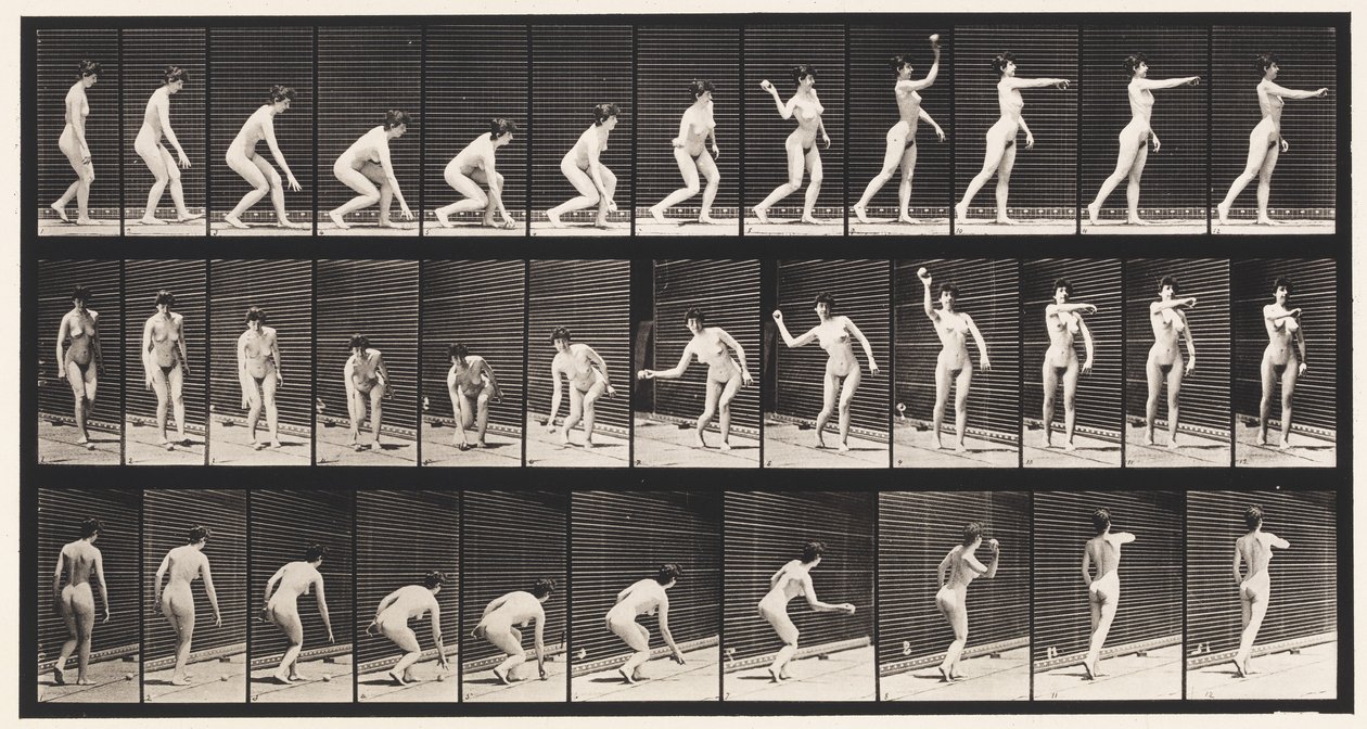 Placa 303. Pegando uma Bola e Jogando-a, 1872-1885 de Eadweard Muybridge