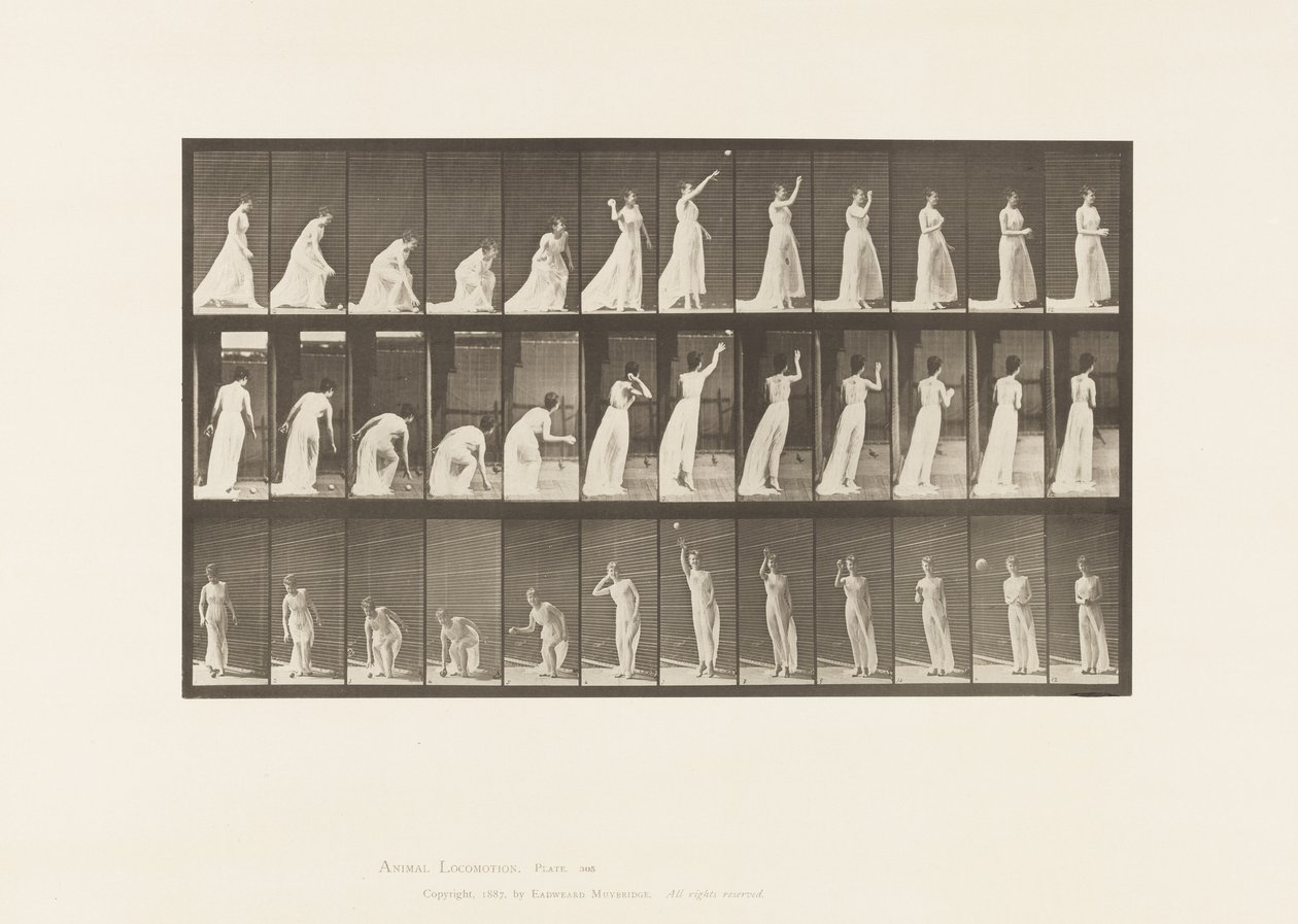 Placa 305. Picando uma Bola e Jogando-a, 1885 de Eadweard Muybridge
