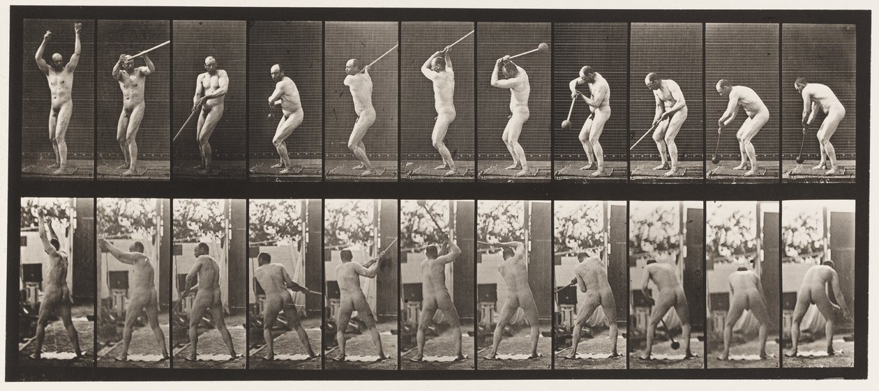 Placa 308. Lançamento do Martelo, 1885 de Eadweard Muybridge