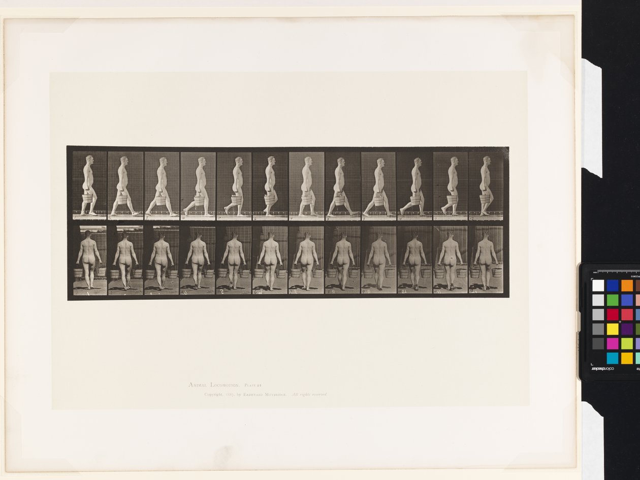 Prato 30. Caminhando, Levando Balde de Água em Cada Mão de Eadweard Muybridge