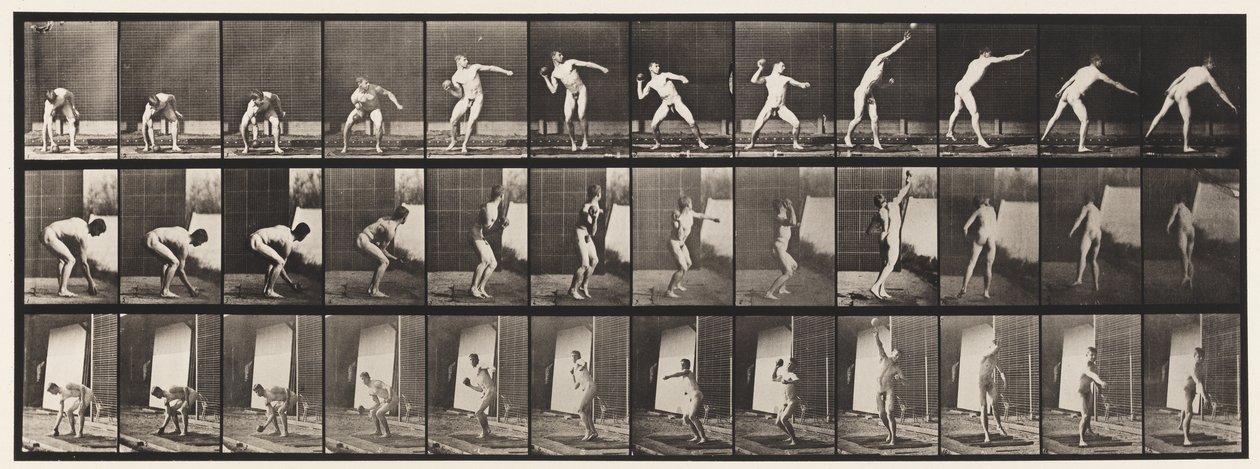 Placa 310. Colocando o Tiro, 1885 de Eadweard Muybridge