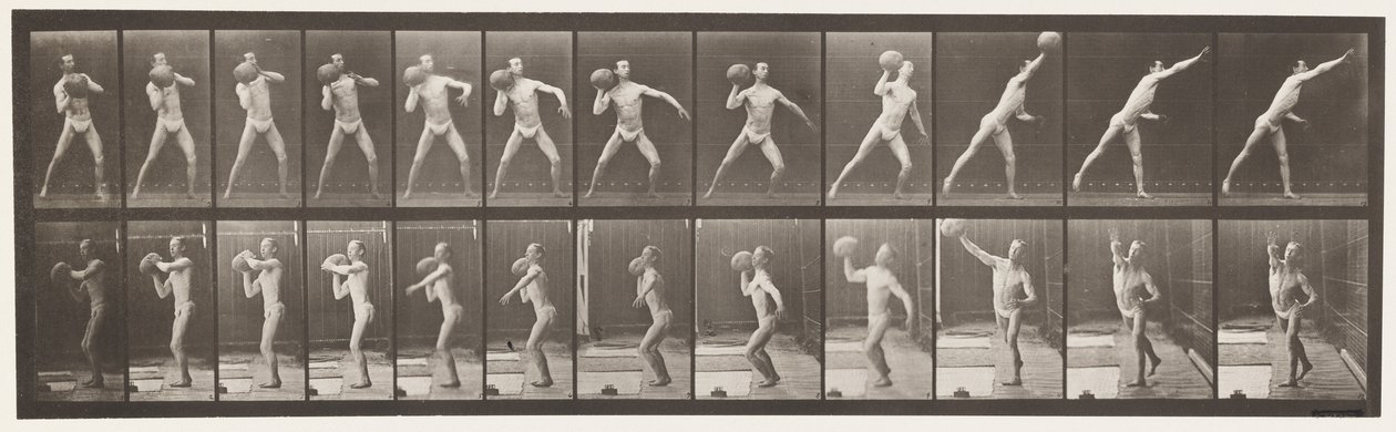 Placa 319. Levantando uma pedra de 75 libras de Eadweard Muybridge