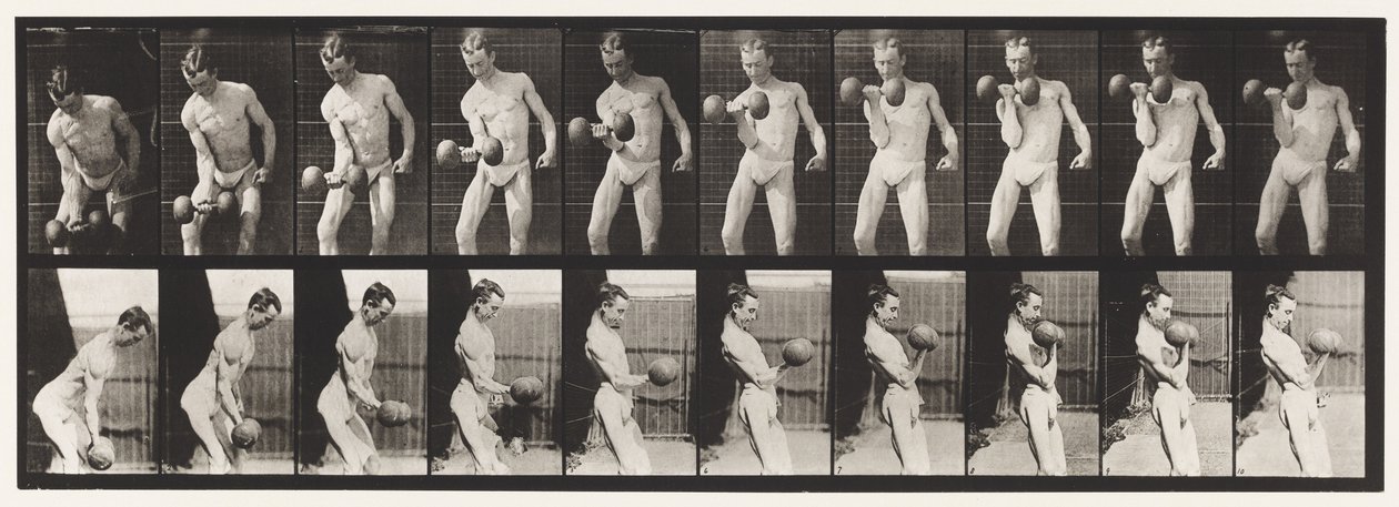 Placa 324. Curling 50 libras. Dumb-Bell, Model, 3-4 de comprimento de Eadweard Muybridge