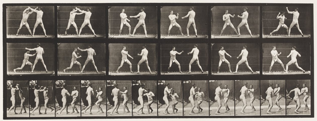 Placa 329. Boxe; (Sapato) de Eadweard Muybridge