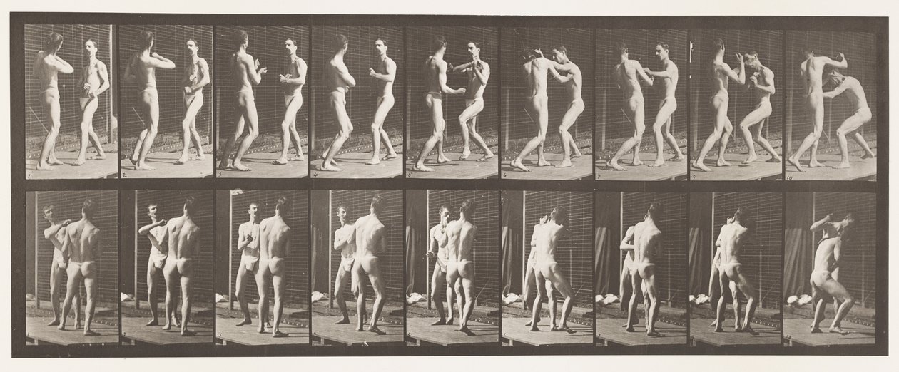 Placa 339. Boxe; Mão aberta de Eadweard Muybridge