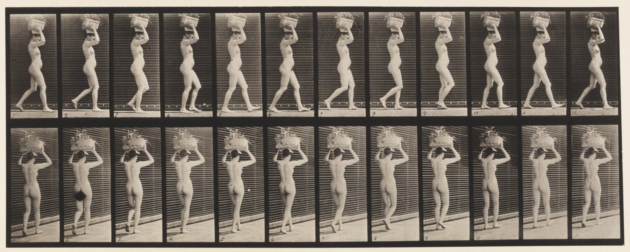 Placa 33. Andando, 14-lb. Cesta na cabeça, mãos levantadas, 1872-1885 de Eadweard Muybridge