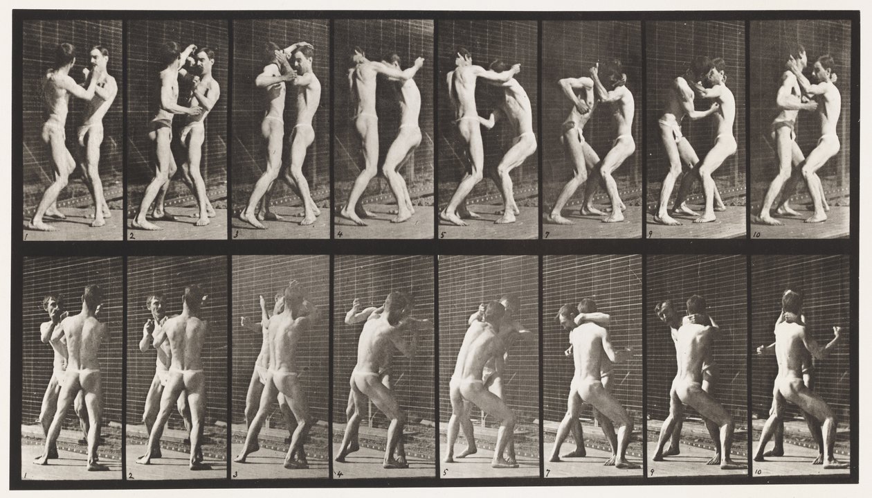 Placa 341. Boxe; Mão Aberta de Eadweard Muybridge