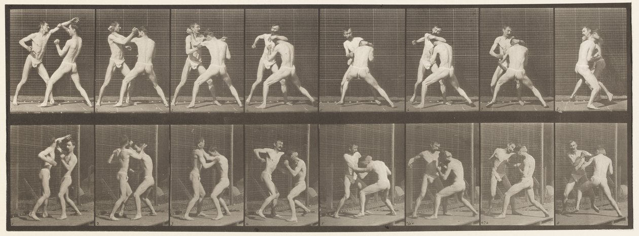 Placa 342. Encaixotamento; Mão Aberta, 1872-1885 de Eadweard Muybridge