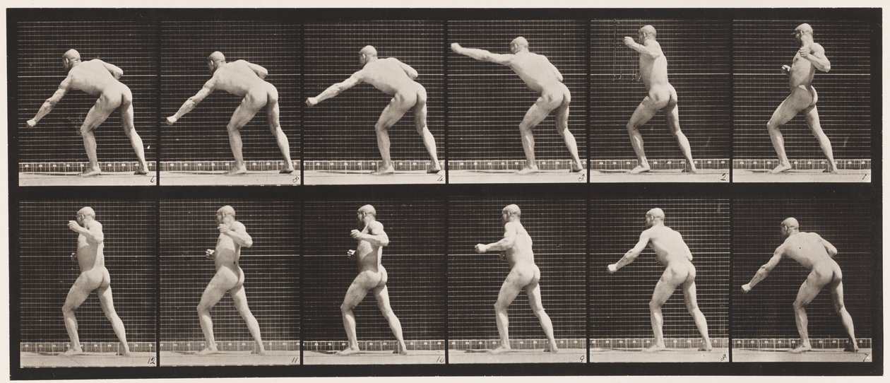 Placa 343. Dando um soco (mão esquerda) de Eadweard Muybridge