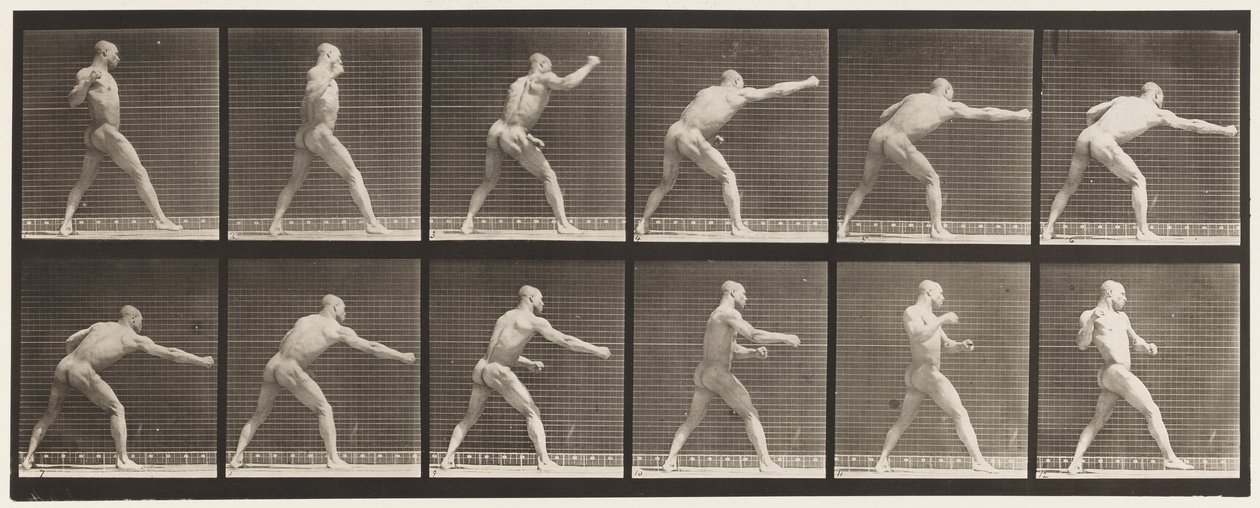 Placa 344. Golpe (Mão direita) de Eadweard Muybridge
