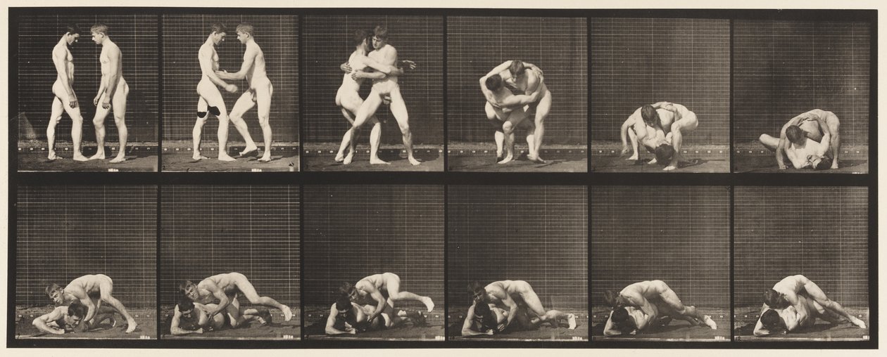 Placa 345.Wrestling, Bloqueio, 1885 de Eadweard Muybridge