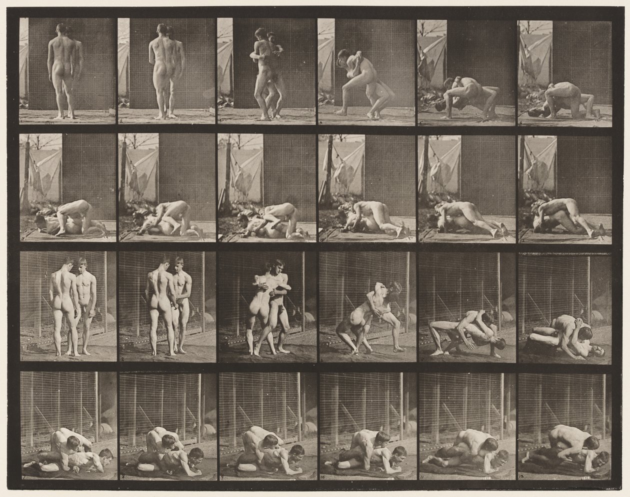 Placa 346. Wrestling, Lock de Eadweard Muybridge