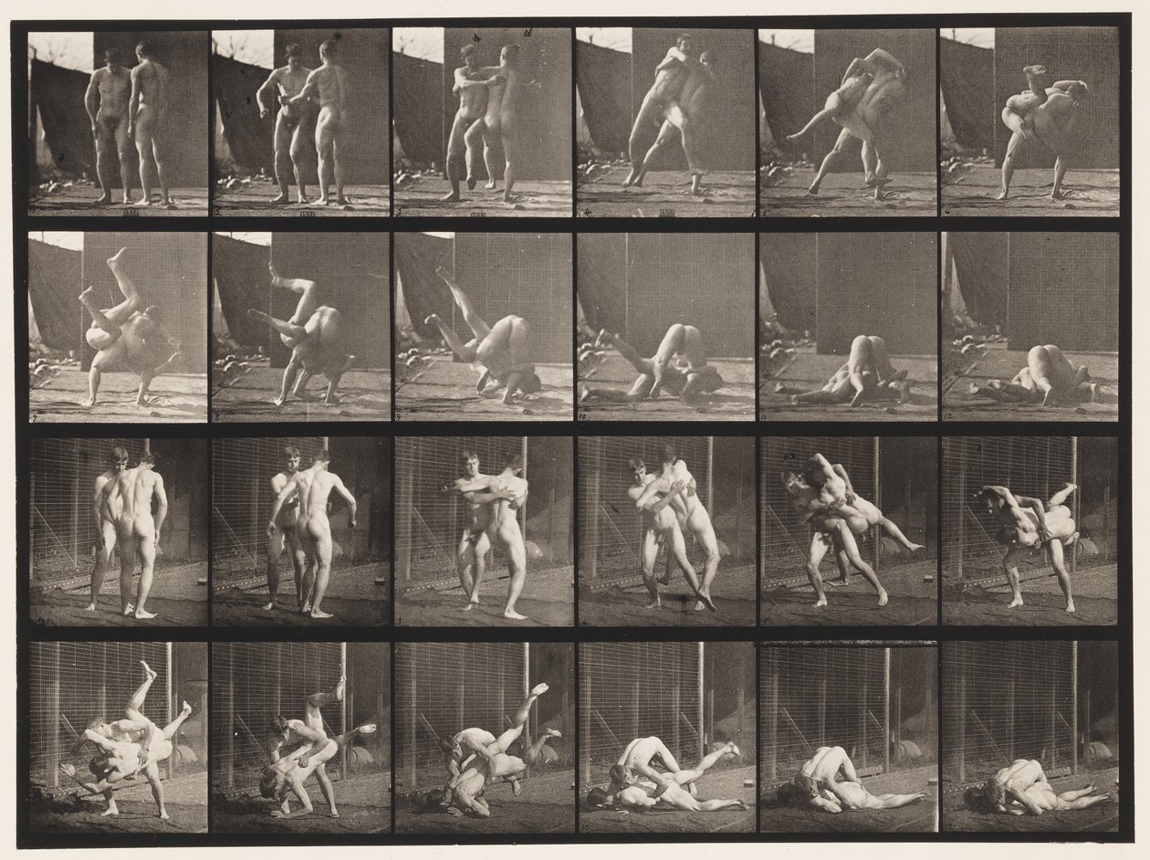 Placa 348.Wrestling, greco-romana, 1885 de Eadweard Muybridge