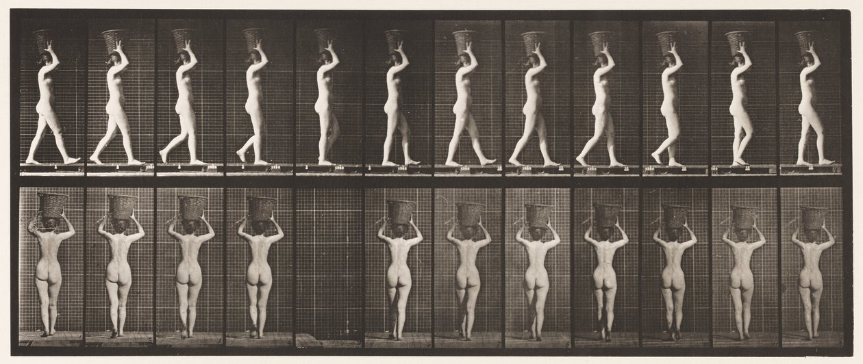 Placa 34. Caminhando de Eadweard Muybridge