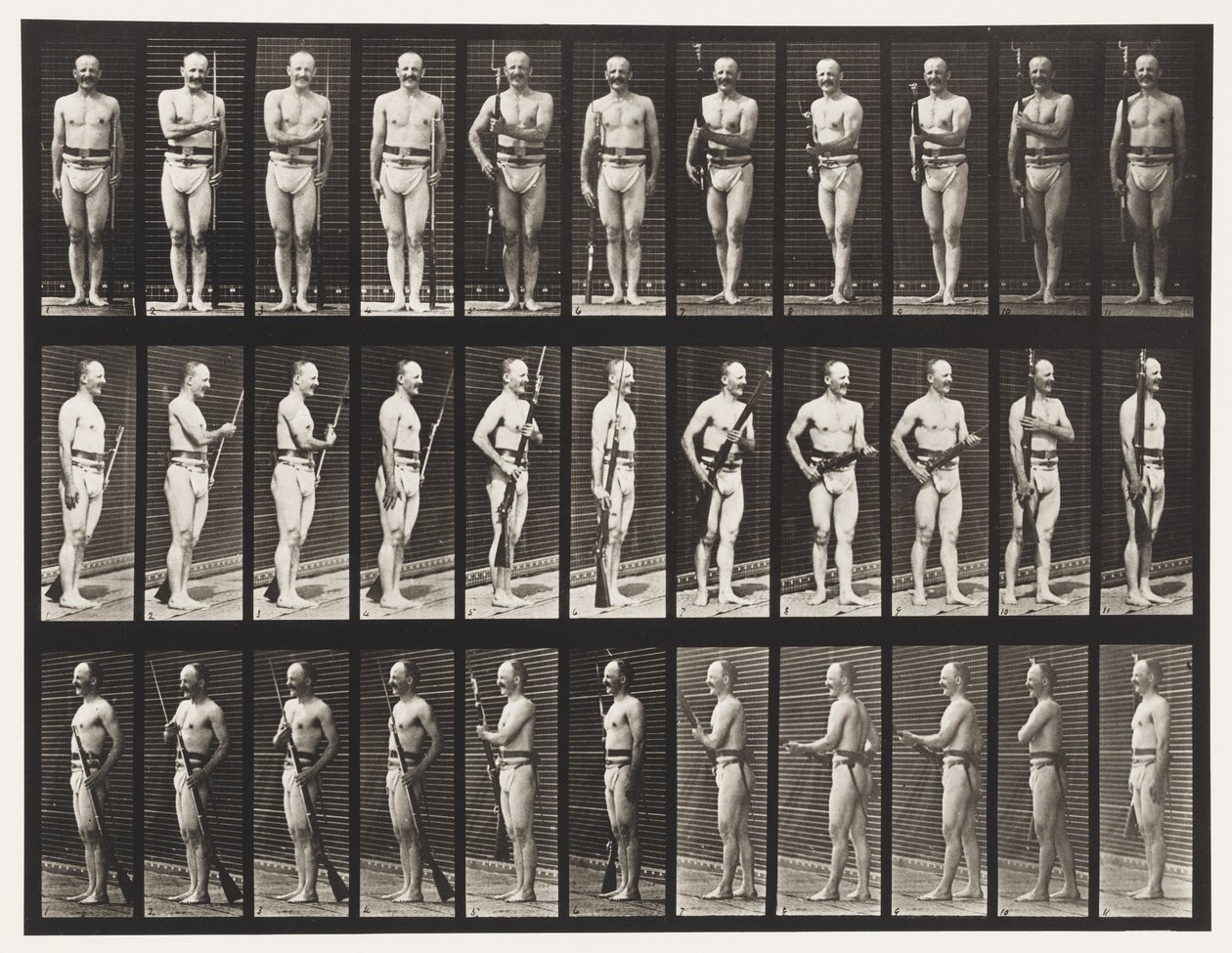 Placa 351. Corrigir e Desbloquear Bayonets, 1872-1885 de Eadweard Muybridge