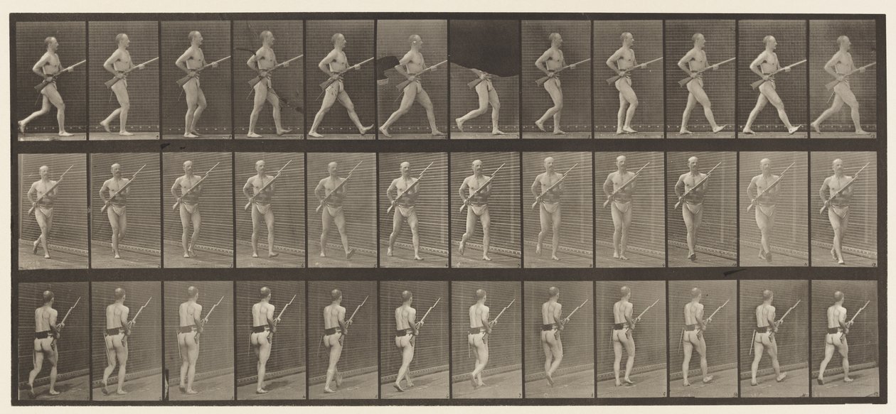 Placa 359. Baioneta de carregamento, 1872-1885 de Eadweard Muybridge