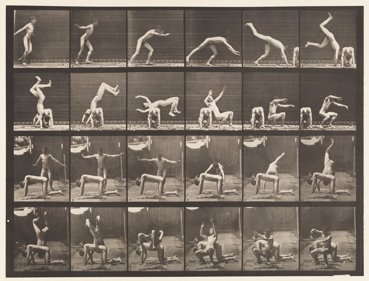 Placa 364. Mola de mão sobre as costas do homem de Eadweard Muybridge