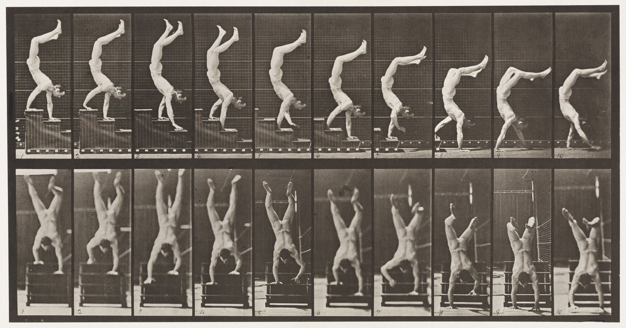 Placa 368. Acrobata, escadas descendentes nas mãos de Eadweard Muybridge