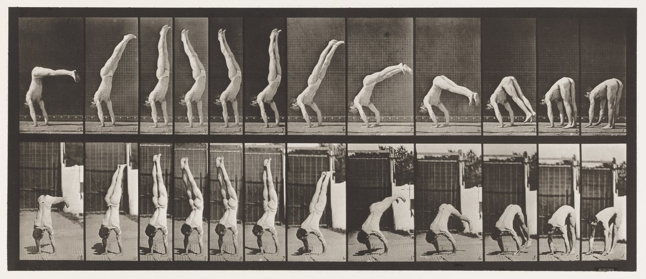 Placa 371. Acrobat, Vertical Press Up de Eadweard Muybridge