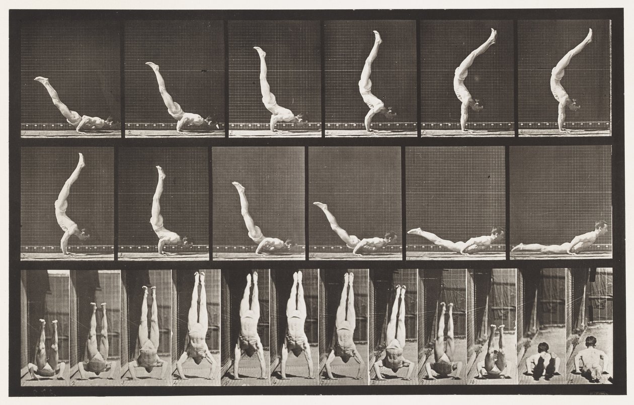 Placa 372. Acrobat, Horizontal Press Up de Eadweard Muybridge