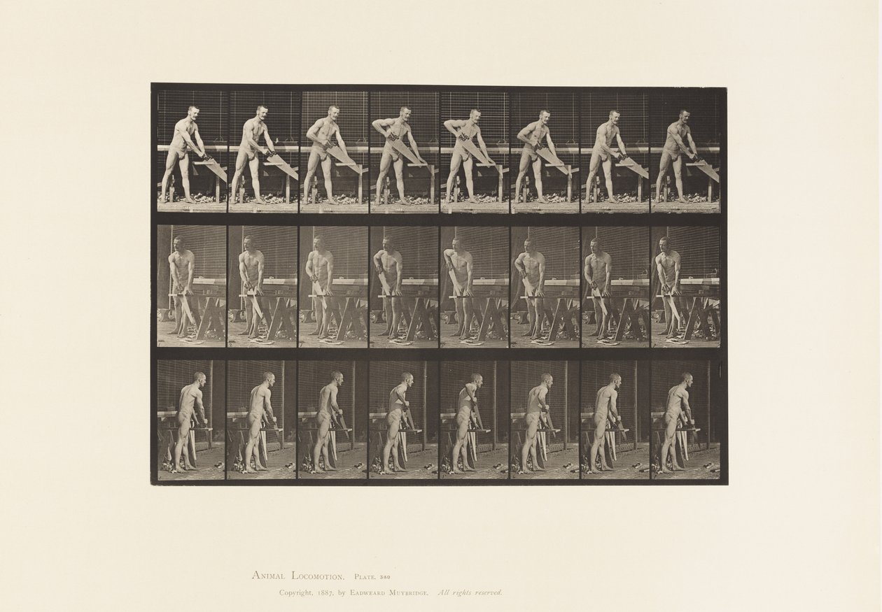 Placa 380. Carpinteiro, Serrar, 1872-1885 de Eadweard Muybridge