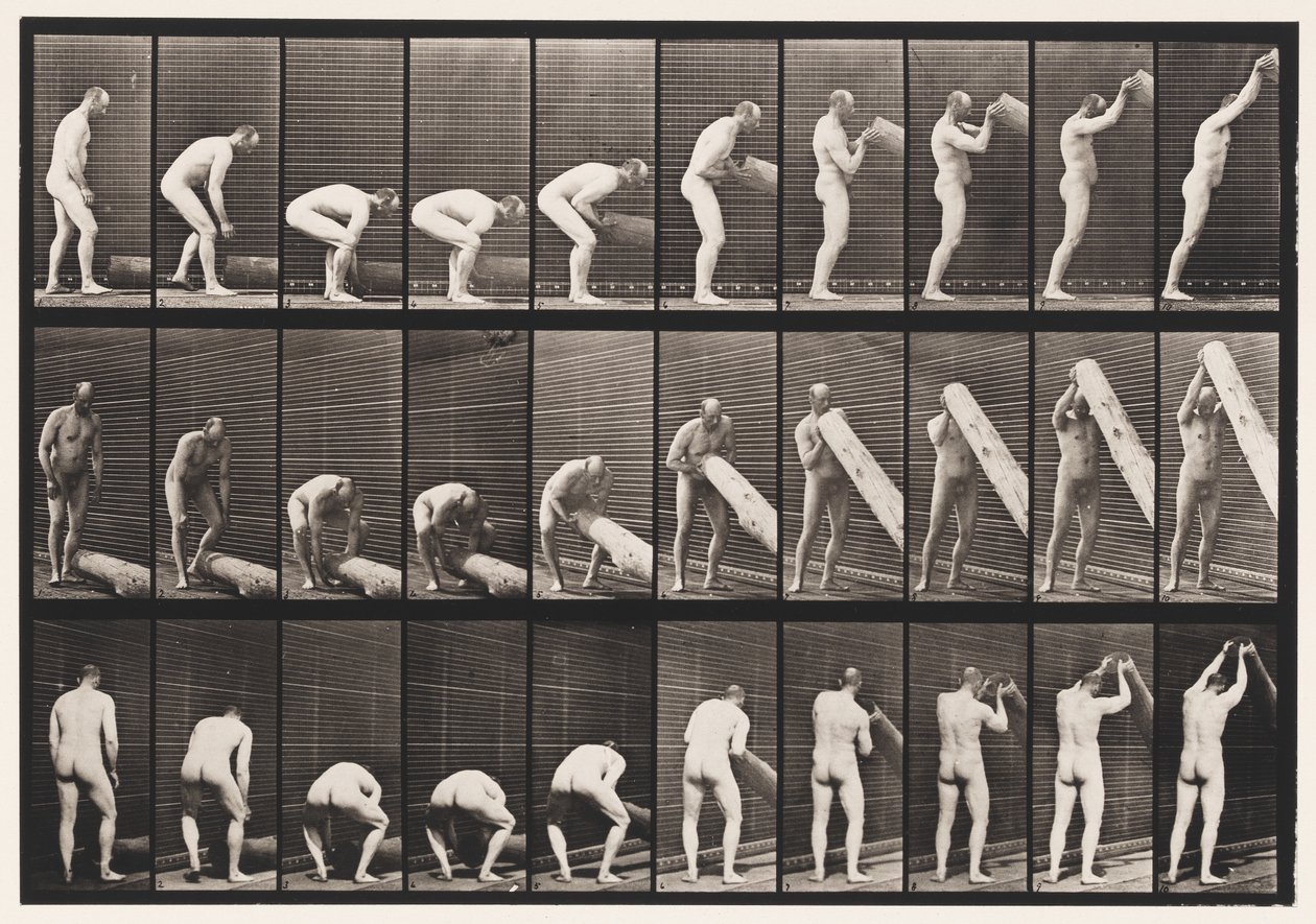 Placa 382. Levantando um Log On End, 1872-1885 de Eadweard Muybridge