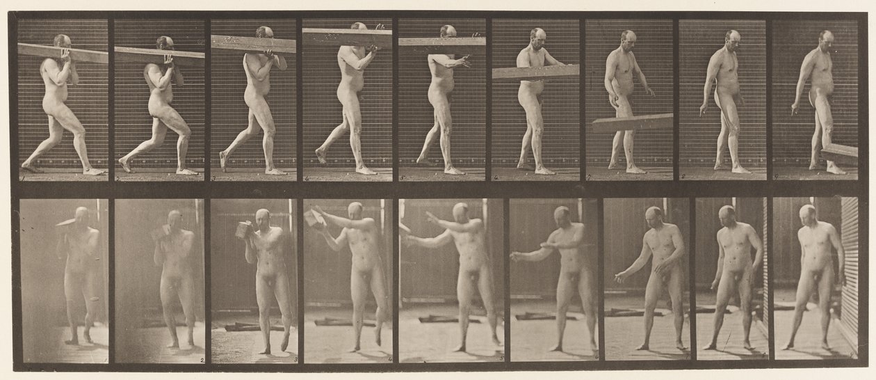 Placa 384. Levantando um ombro de tronco de Eadweard Muybridge
