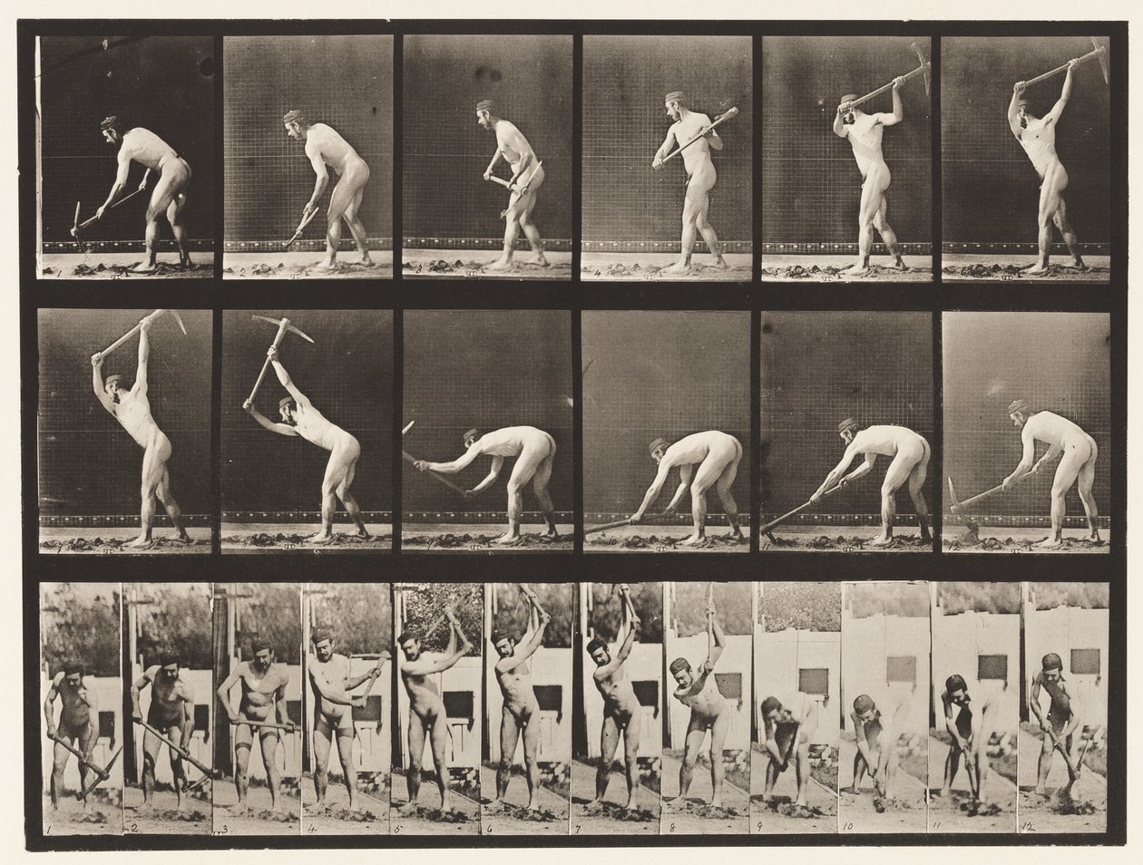 Placa 385. Fazendeiro, Usando uma Pick, 1872-1885 de Eadweard Muybridge