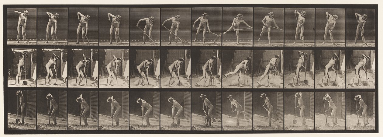Placa 387. Fazendeiro, usando uma pá de cabo longo de Eadweard Muybridge