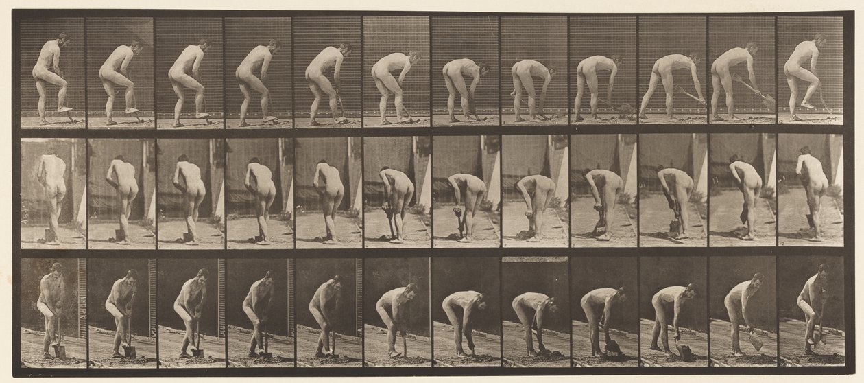 Placa 388. Fazendeiro, Usando uma Pá, 1872-1885 de Eadweard Muybridge