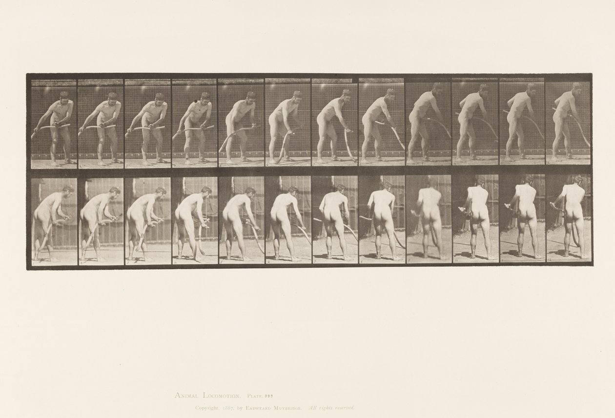 Placa 390. Fazendeiro cortando grama de Eadweard Muybridge