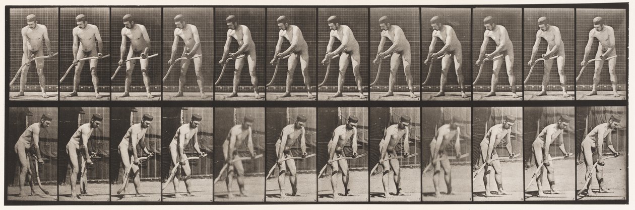 Placa 391. Fazendeiro cortando grama de Eadweard Muybridge