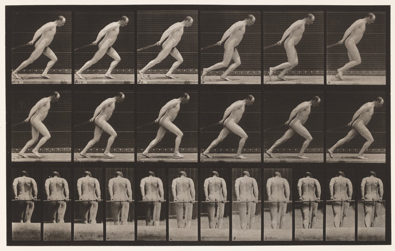 Ilustração 392. Arrastando um Rolo de Jardim, 1872-1885 de Eadweard Muybridge