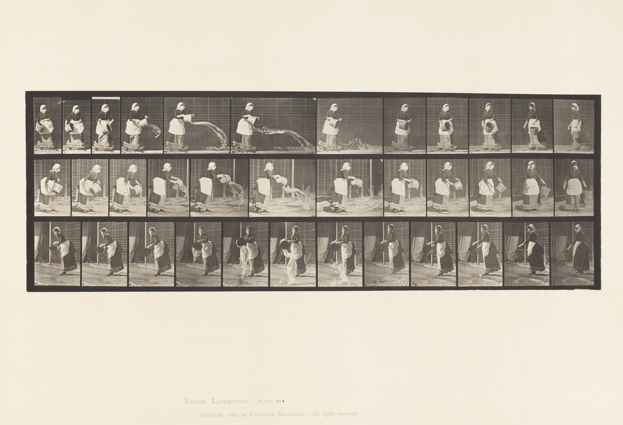 Placa 404.Esconder balde de água, 1885 de Eadweard Muybridge