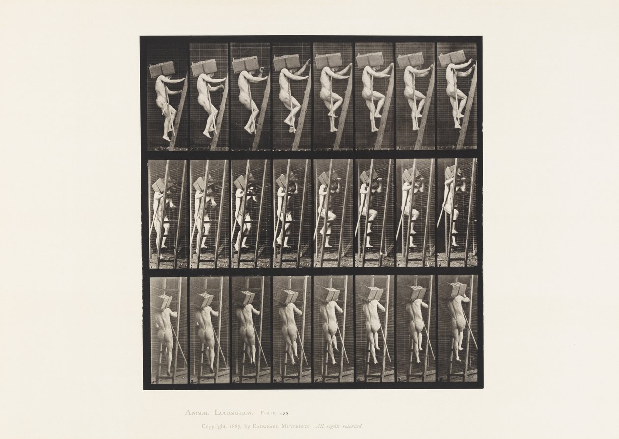Placa 405. Carregando a mão de tijolos até uma escada, 1872-1885 de Eadweard Muybridge