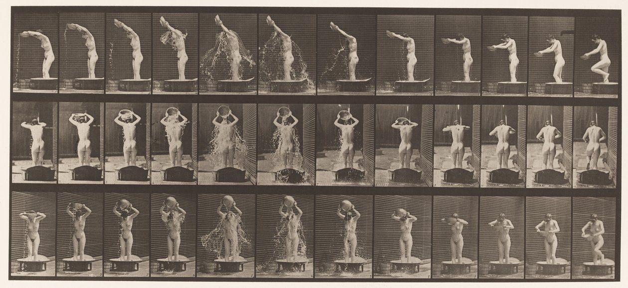 Placa 409. Bacia de despejo de água sobre a cabeça de Eadweard Muybridge