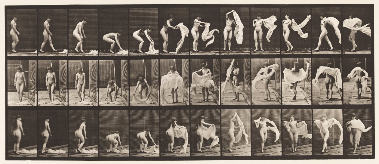 Prato 419. Vaso sanitário, inclinado, jogando envoltório ao redor dos ombros de Eadweard Muybridge