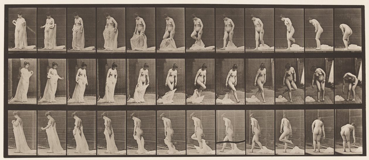 Placa 430. Sanita; Descolando Roupas, 1872-1885 de Eadweard Muybridge