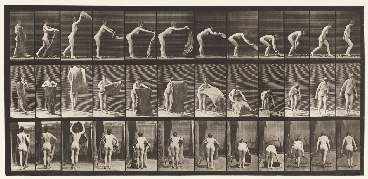 Placa 439. Espalhando Um Tapete no Chão, 1872-1885 de Eadweard Muybridge