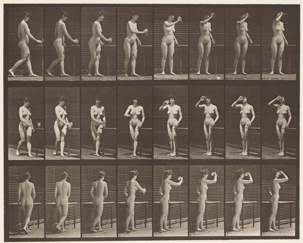 Prato 443. Beber de um cálice em pé de Eadweard Muybridge